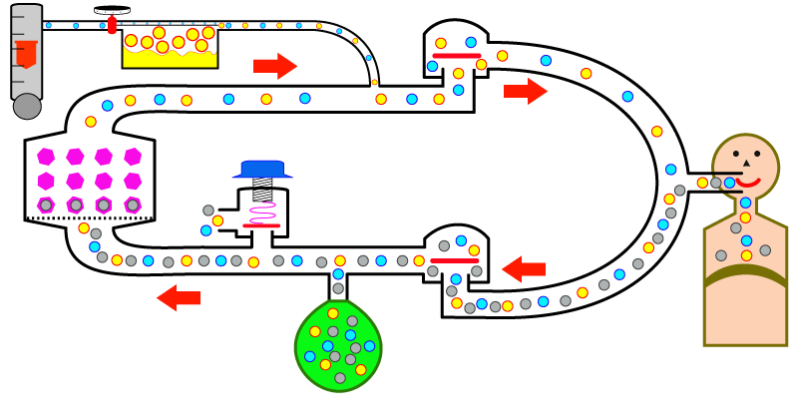 Components_of_Breathing_Circuits.png